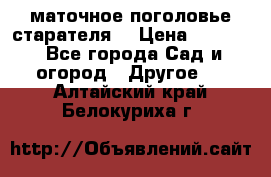 маточное поголовье старателя  › Цена ­ 3 700 - Все города Сад и огород » Другое   . Алтайский край,Белокуриха г.